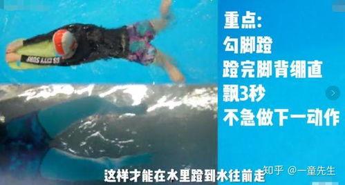 成人游泳视频全集免费  第1张