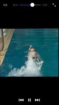 成人游泳视频全集免费  第2张