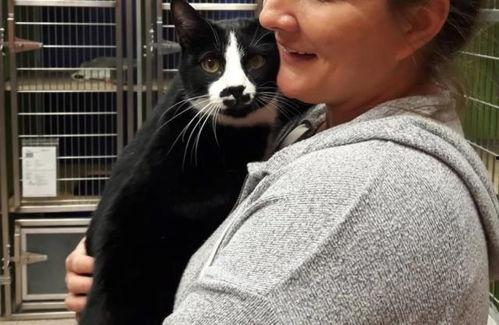 小猫变成人类视频播放,小猫变身人类，萌态百出引网友热议  第2张