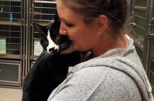 小猫变成人类视频播放,小猫变身人类，萌态百出引网友热议  第3张