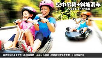 成人平衡滑车视频播放,跟随视频轻松掌握成人平衡训练  第2张