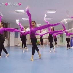 个人舞蹈成人舞蹈视频,跟随个人舞蹈视频探索成人舞蹈的魅力  第2张