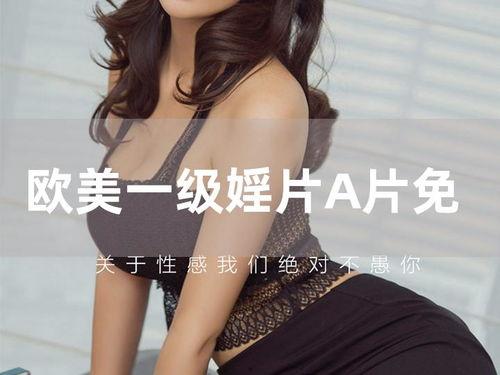 日韩欧美成人A 视频,多元文化下的私密世界  第3张