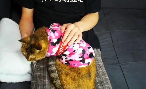 成人剪指甲视频大全集,成人剪指甲视频大全集精华解析  第1张