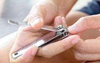 成人剪指甲视频大全集,成人剪指甲视频大全集精华解析  第2张